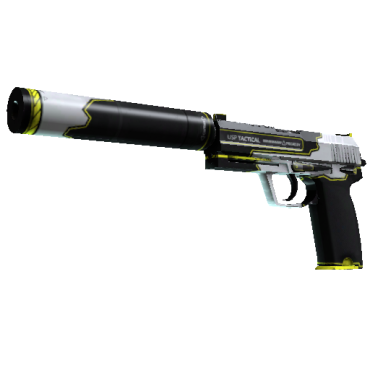 StatTrak™ USP-S | Torque  (Minimal Wear)