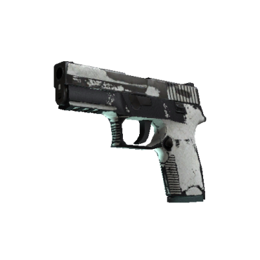 P250 | Whiteout  (Battle-Scarred)