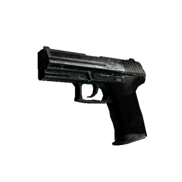 P2000 | Panther Camo  (Field-Tested)