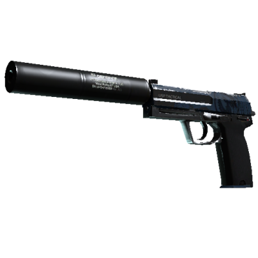 USP-S | Guardian  (Field-Tested)